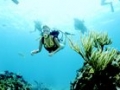 buceo3