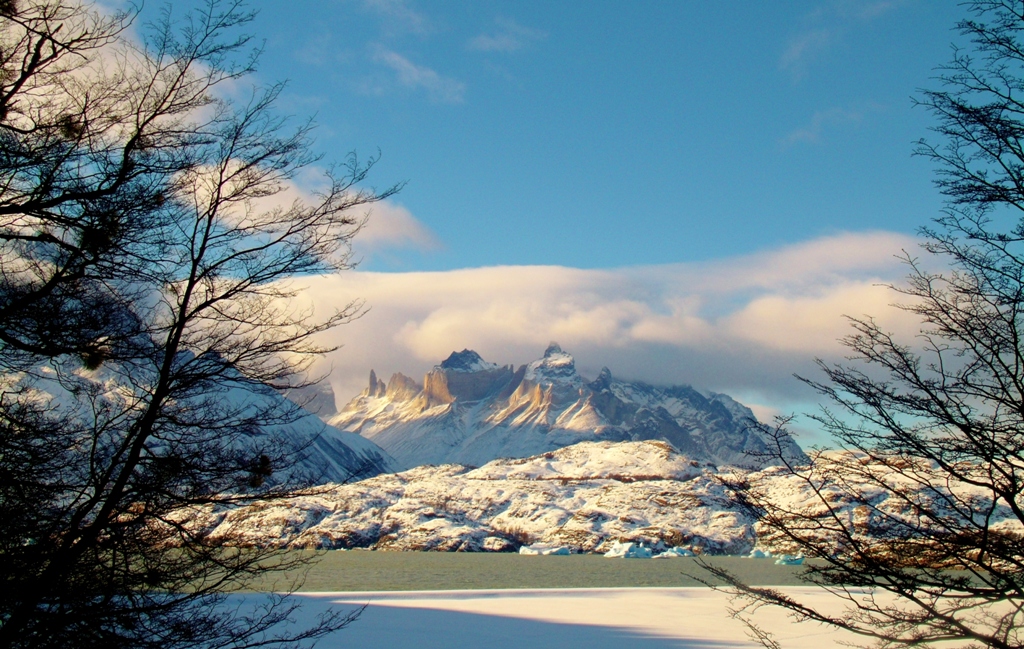 Parque_Nacional Torres del Paine_Camino al Lago Grey_Autor Camila Diaz Gomez