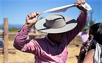 Sernatur entrega panoramas y consejos para recorrer Chile en Fiestas Patrias