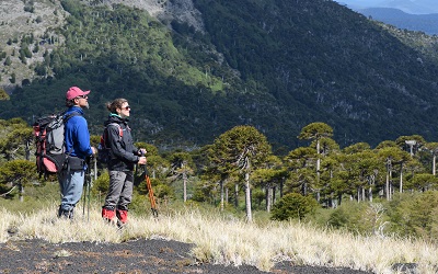 Cómo va a ser el primer viaje de los chilenos post pandemia, según Despegar