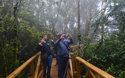 Importantes obras de mejoramiento en Parque Nacional Bosque Fray Jorge