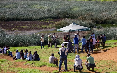 CONAF y expertos buscan revertir pérdida de agua en humedal Rano Raraku