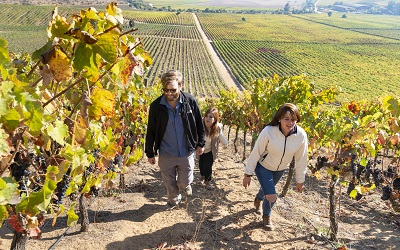 Valle del Maipo estrena cinco nuevas rutas en torno al vino con apoyo de Corfo