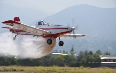 Menos siniestros y áreas quemadas en temporada de incendios forestales