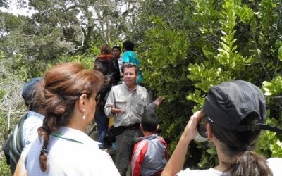 Ingreso gratuito a parques y reservas nacionales por Día del Medioambiente