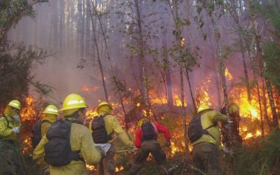 CONAF se prepara ante inicio de periodo alto de incendios forestales