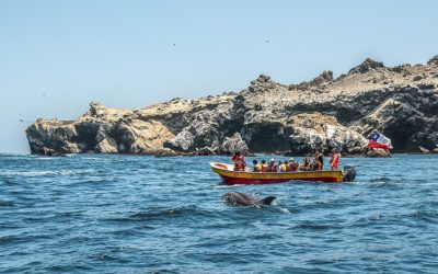 Resultados de V Concurso de Fotografía Turística de APTUR Chile