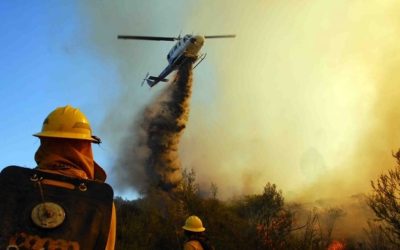 Importante disminución de superficie quemada por incendios forestales