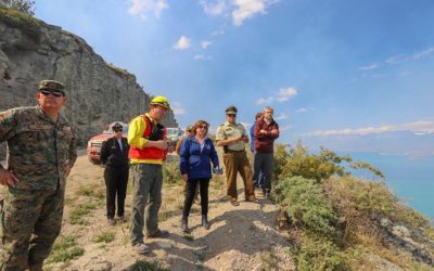 Controlado quedó incendio forestal de Bahía Mansa en Chile Chico, Aysén