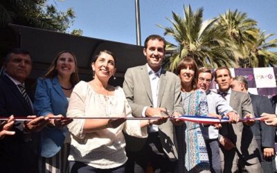 Con pisada de uva partió temporada de vendimias en Región Metropolitana