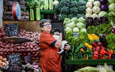 Lanzan «Guía Patrimonial Mercados de La Chimba”, un lugar para disfrutar