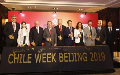 Directora de Sernatur participa en delegación de ChileWeek China 2019