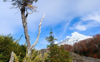 Sernatur anuncia a nueva autoridad para su dirección regional en La Araucanía