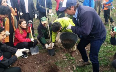 Histórica reforestación con 30 mil árboles nativos habrá en el cerro Renca