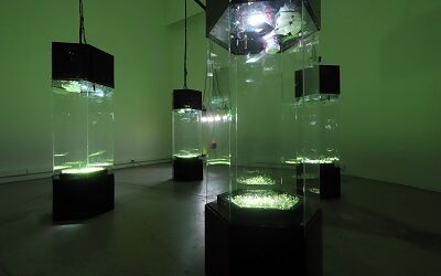 Galería Cava se integra a 14 Bienal de Artes Mediales con Simbiosis meditativa