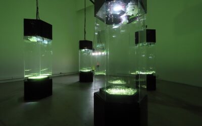 Galería Cava se integra a 14 Bienal de Artes Mediales con Simbiosis meditativa