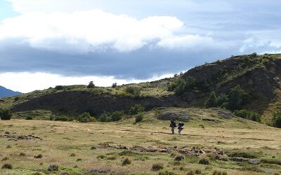 Invertirán $1.600 millones en Torres del Paine para mejorar infraestructura