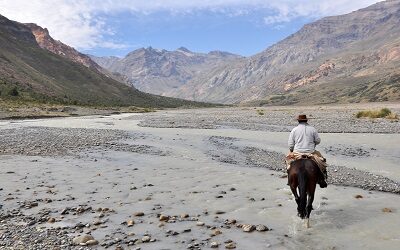 Naturaleza en cuarentena: cómo visitar la Ruta del Tricahue en modo «online»