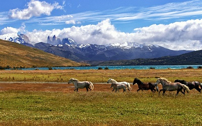 Turismo en cuarentena: recomendaciones sobre cómo reinventar la industria