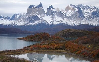 CONAF celebra 50 años al servicio de los bosques y la naturaleza de Chile