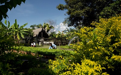 Accor refuerza compromiso con la preservación de bosques en el planeta