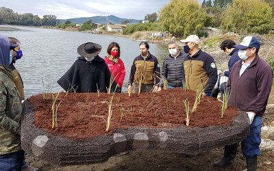 Sistema de islas artificiales para mitigar contaminación de la laguna Torca