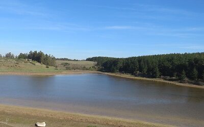 Lagunas de Reserva El Yali vuelven a acumular agua, luego de dos años secas