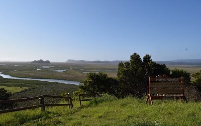 Convención Ramsar declara sitio protegido a humedal Monkul en la Araucanía