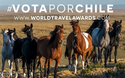 Chile es nominado en 19 categorías de los famosos premios Oscar del Turismo