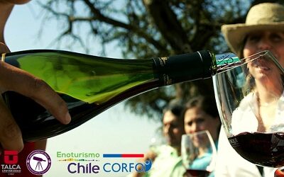 Enoturismo Chile y U. de Talca presentan Catastro Nacional de Enoturismo