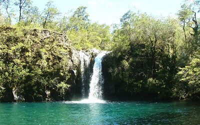 Programa Grandes Parques Bicentenario busca fortalecer la biodiversidad