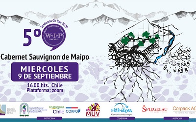 5º seminario online de WIP 2020 explorará cabernet sauvignon de Maipo Andes