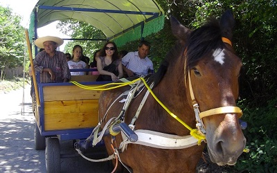 Seminario destaca especial rol que tendrá el turismo rural post pandemia