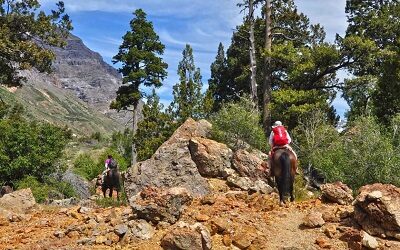 Reserva Nacional Río de Los Cipreses volvió a abrir sus puertas al público