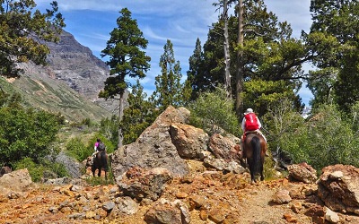 Reserva Nacional Río de Los Cipreses volvió a abrir sus puertas al público