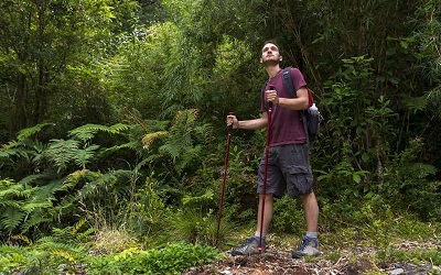 Protocolos sanitarios: Una forma segura para la reapertura del turismo