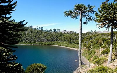 Casi 20 mil nuevos ocupados en turismo en relación a trimestre anterior