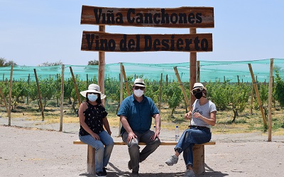 Vino del Desierto reabre sus puertas al turismo en Pampa del Tamarugal