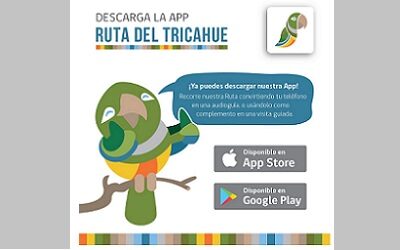 Ruta del Tricahue estrena una aplicación móvil para visitas autoguiadas