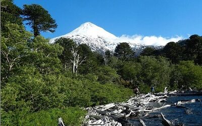 Rutas Ancestrales Araucarias recibió premio TO DO 2021 en la ITB de Berlín