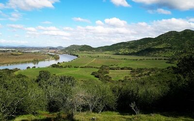 Cinco nuevas viñas se unieron este año a la Ruta del Vino Valle del Maule