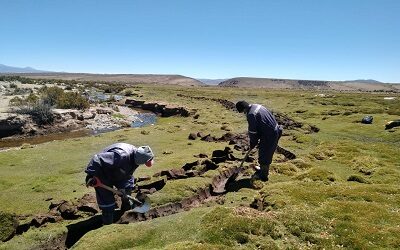 Chile muestra importante avance en acciones para frenar la desertificación