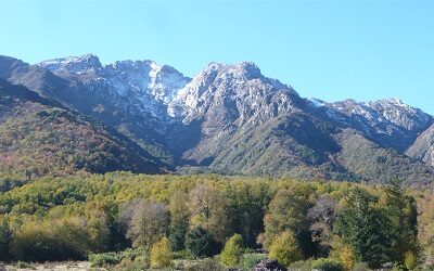 Reserva de la Biosfera Nevados de Chillán – Laguna del Laja  cumplió 10 años