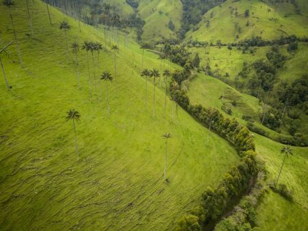 Colombia y turismo LGTBQ+