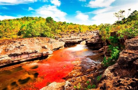 Caño Cristales, el río de los cinco colores