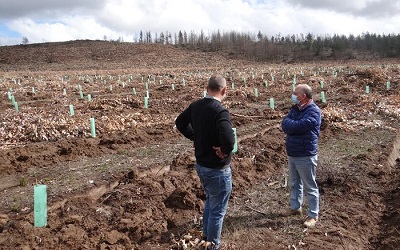 CONAF reconvierte 358 hás de plantaciones a bosque nativo en RN Lago Peñuelas