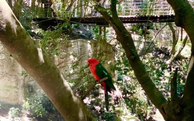 Región de Valparaíso: Un turismo por descubrir a pasos de la costa