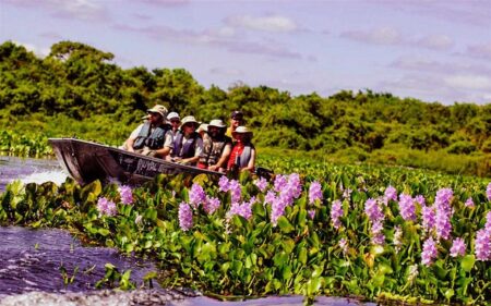 Turismo en Pantanal, Brasil.