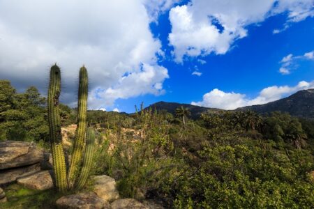 Parque Nacional La Campana