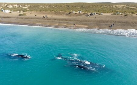 Puerto Madryn